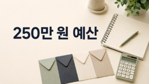 250만원 예산