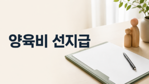 양육비 선지급